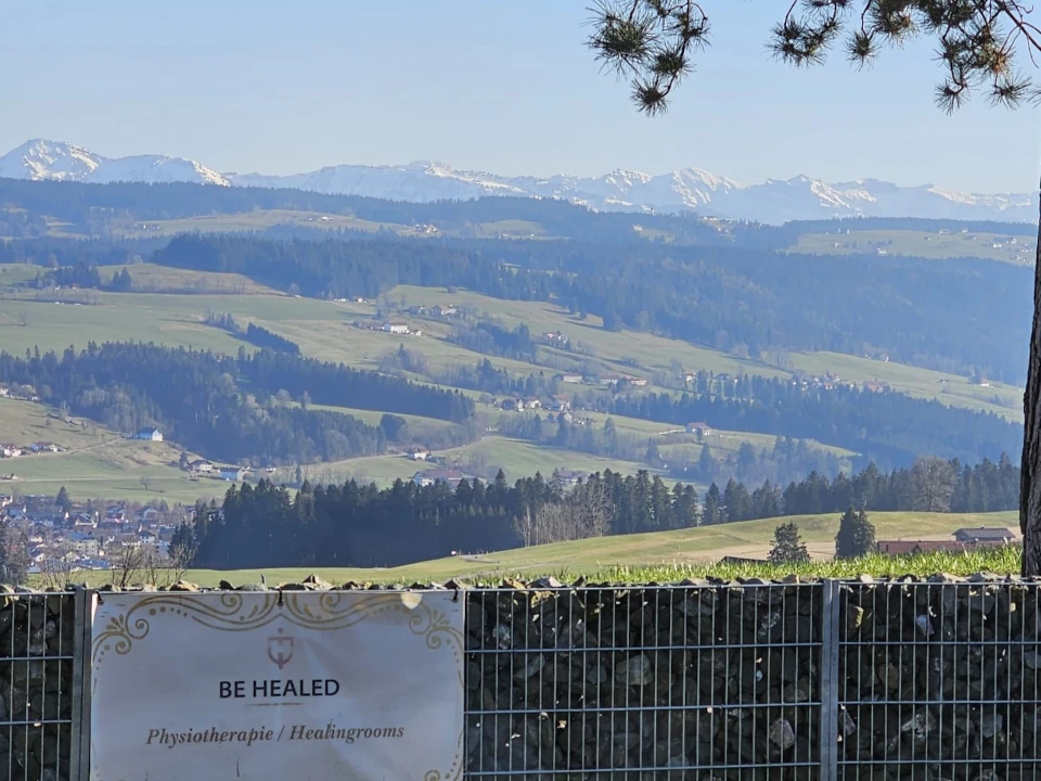 Ausblick ins Grüne